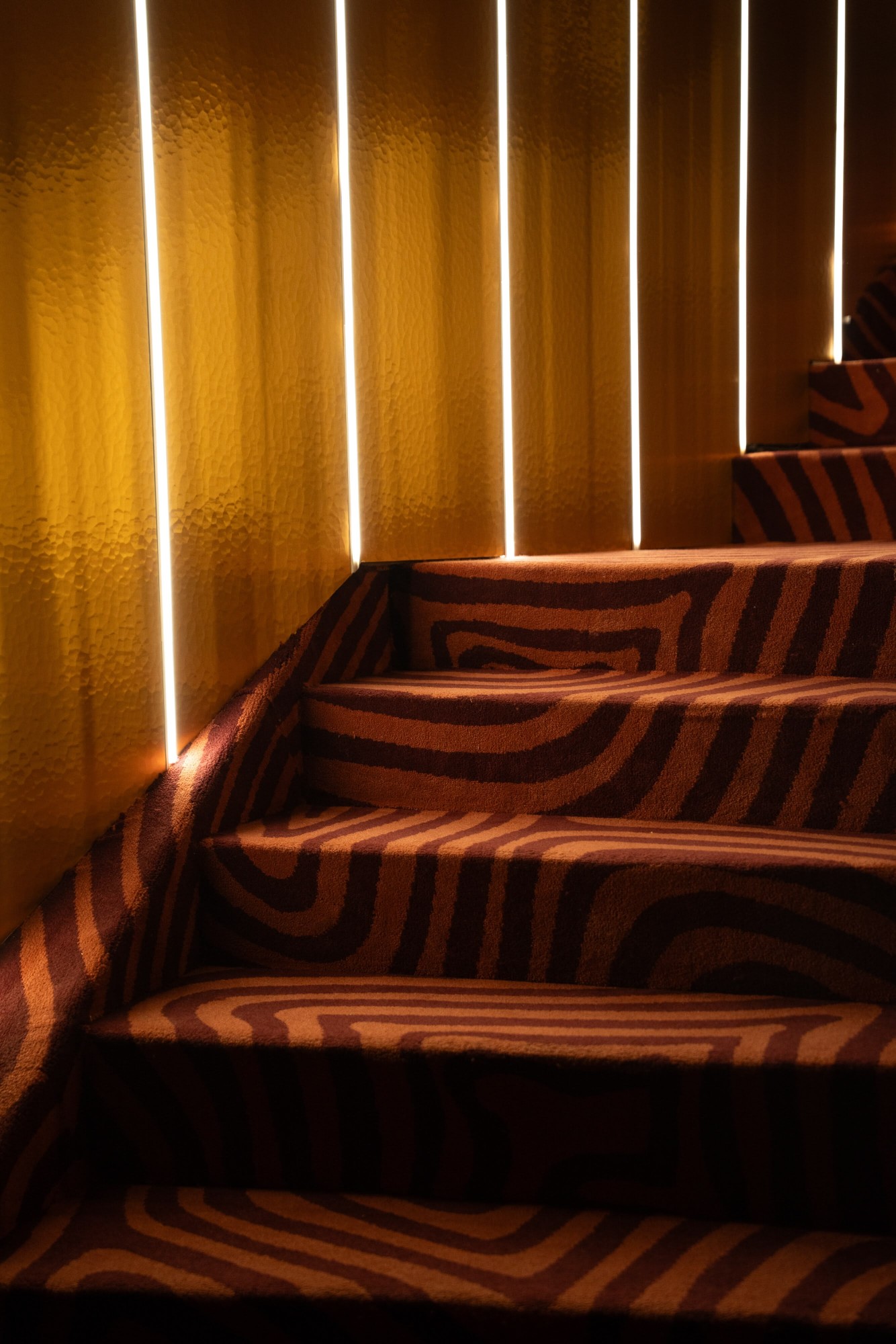 Les marches de l’escalier et leur tapis